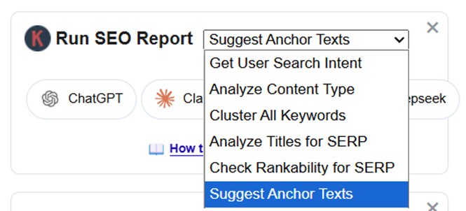 Instant Anchor Text Generator