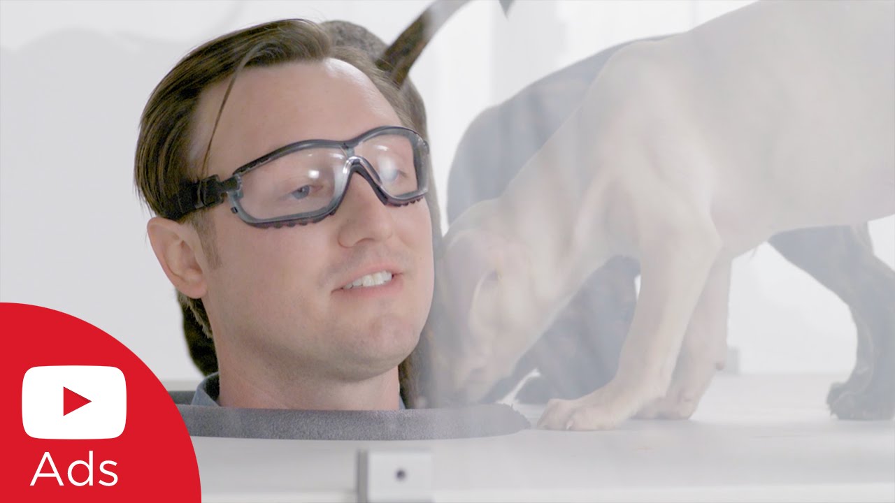 TrueView EXPLAINED While Being Bombarded With Puppies | YouTube Advertisers